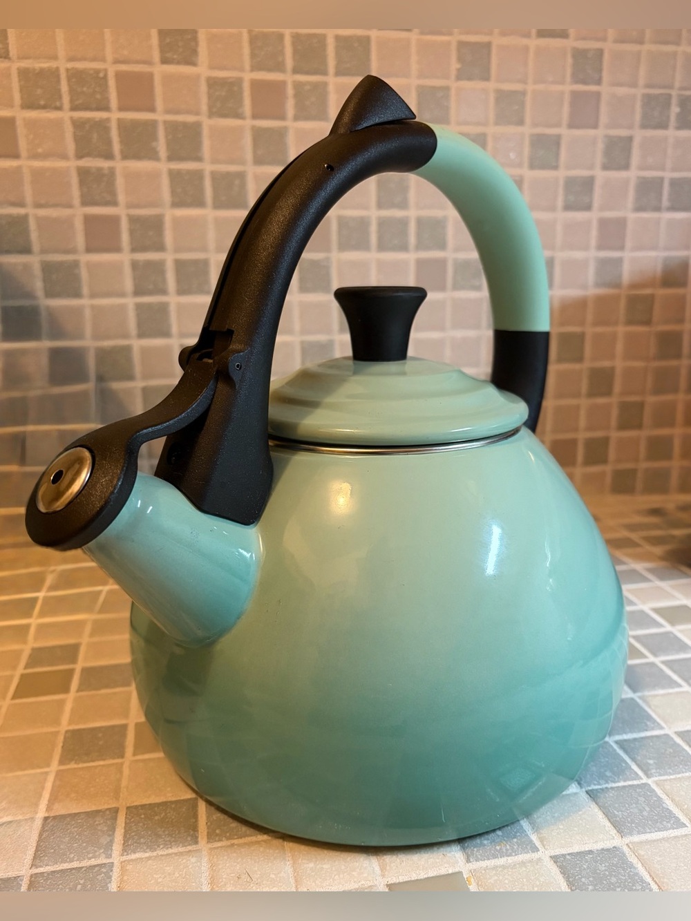 Le Creuset Cloche Tea Kettle (Limited Edition Color)